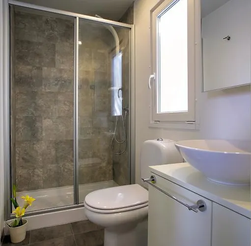 Camp Rehut 무르테르