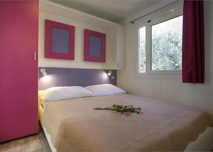 Camp Rehut 무르테르