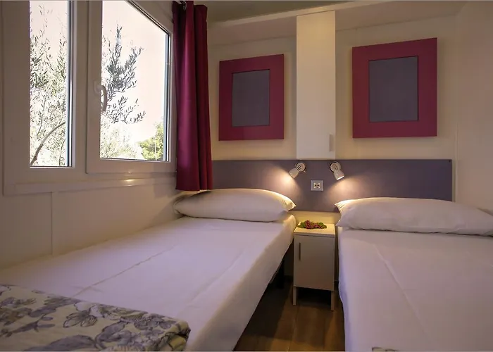 Camp Rehut 무르테르